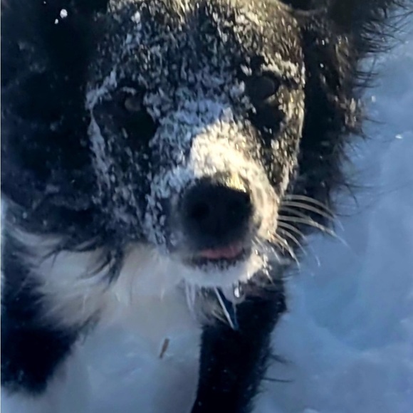 #1-50 MAY THE FOURTH BE WITH YOU! Thank you for your purchase - Picture 5 of 5